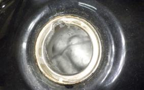 HONDA STEED 400 1993 NC26