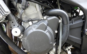 KAWASAKI ZX-4RR 2024 ZX400P