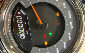 HARLEY  HARLEY FLFBS 2025 YGK