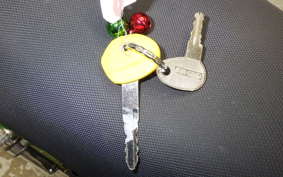 KAWASAKI Z125 PRO 1992 BR125H