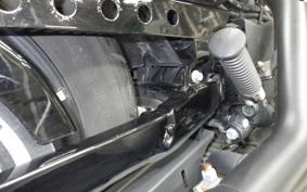 HARLEY XL883N 2020