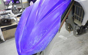 YAMAHA YZ250F CG34C