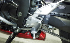 YAMAHA FZ1 FAZER 2015 RN21J