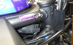 YAMAHA YZF-R25 RG43J