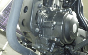 HONDA REBEL 250 A MC49