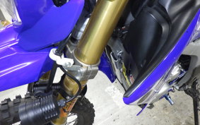 YAMAHA WR250R 2019 DG15J
