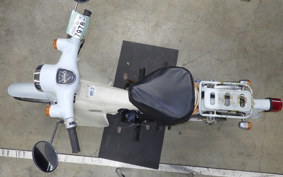 HONDA LITTLE CUB E AA01