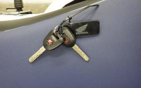 HONDA CRF1100L AFRICA TWIN DCT 2019 SD10