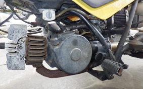 YAMAHA YT60 2023 56T