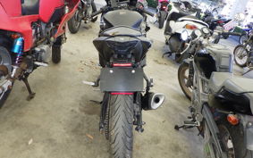 YAMAHA YZF-R25