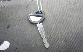 KAWASAKI KLX250 Gen.2 LX250S