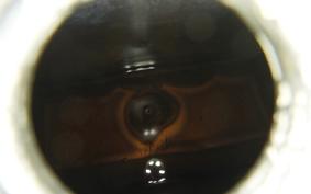 OTHER +UNREGISTERED MODEL by BDS TRIKE240