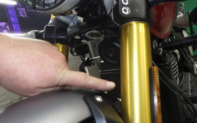 TRIUMPH SCRAMBLER400X 2024