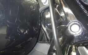 HARLEY FLSB 1750 2021