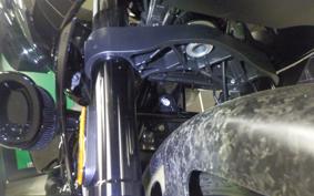 HARLEY FLTRXSTSE1980CVO 2024