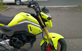 HONDA GROM JC61