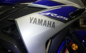YAMAHA YZF-R25 2004 RG10J