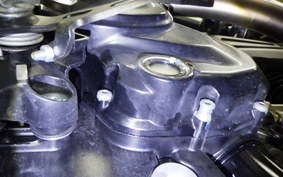 DUCATI SCRAMBLER ICON 2024