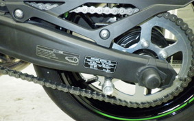 KAWASAKI ZX-4RR 2023 ZX400P