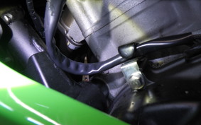 KAWASAKI ZX-4RR 2025 ZX400P
