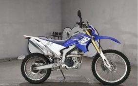 YAMAHA WR250R DG15J