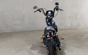 HARLEY XL1200NS 2019 LP3