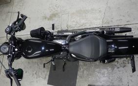 HARLEY XL1200X 2021