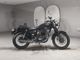 Фото Kawasaki ESTRELLA250 RS с японского аукциона