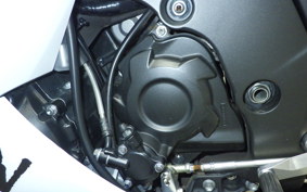 KAWASAKI ZX 1400 NINJA R A 2020