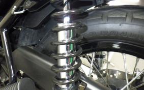 KAWASAKI W800 CAFE 2020 EJ800B