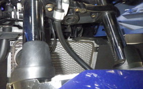 SUZUKI GSX250 R 2024
