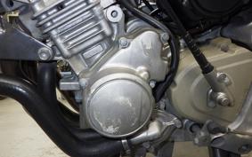 HONDA HORNET 250 2024 MC31