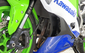 KAWASAKI NINJA ZX-4RR 2024 ZX400P