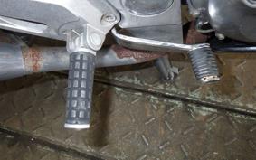 KAWASAKI ZZ-R250 EX250H