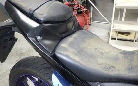 YAMAHA YZF-R25 2008 RG10J