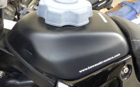 KAWASAKI KLX250 SR LX250E