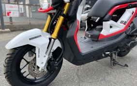 HONDA ZOOMERX JF62