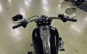 HARLEY  HARLEY FXBR BREAK  OUT 117 2025 YEZ