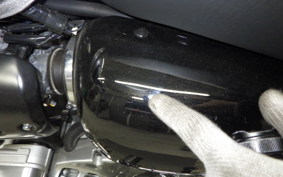 KAWASAKI W800 2024 EJ800E