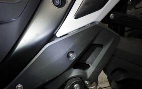 BMW R1300GS 2024