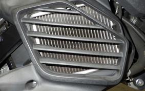 YAMAHA CYGNUSｸﾞﾘﾌｧｽ SEJ4J