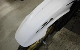 YAMAHA TT250R RAID 4GY