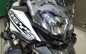 KAWASAKI VERSYS X250Aﾂｱﾗｰ LE250D