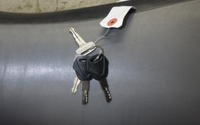 YAMAHA TT250R RAID 4GY