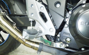 SUZUKI GSX250R