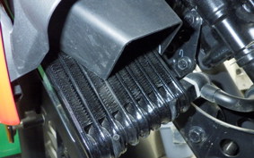 SUZUKI Vｽﾄﾛｰﾑ250SX 1995 EL11L