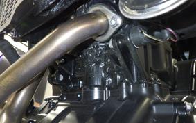 KAWASAKI Z650 RS 2024 ER650R