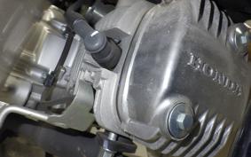 HONDA C110 SUPER CUB