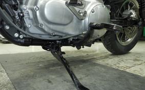 HARLEY XL883LI 2009
