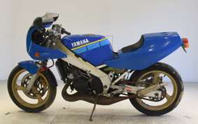 YAMAHA TZR250<ﾌ･ﾀﾞ> 1KT